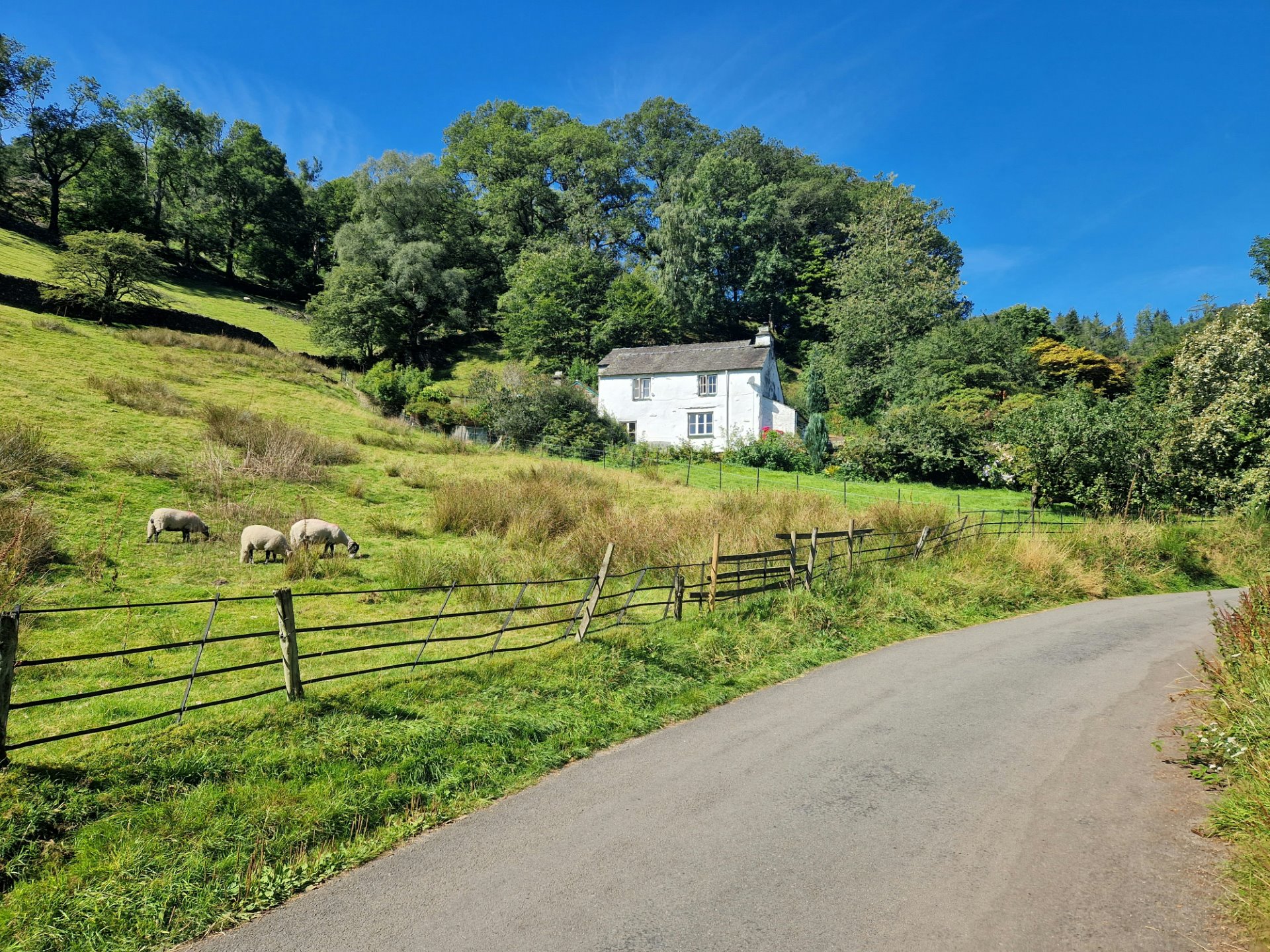 Farm road contractors Chertsey