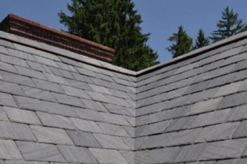 Dry valley 1 480x320 Chertsey